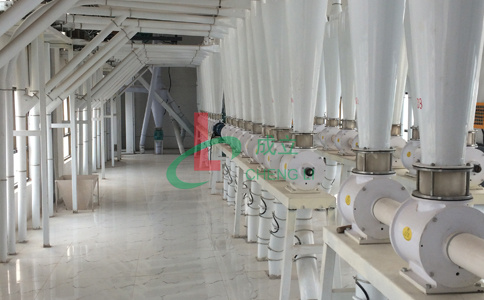 徐州日產200噸面粉加工機組